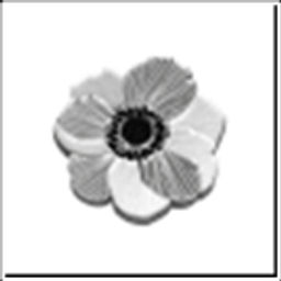 Брошь Анемона