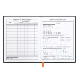 Дневник школьный арт. 58938 / 15 ИСТРЕБИТЕЛЬ - Феникс+ фото 10