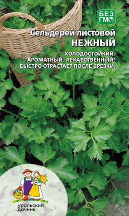Сельдерей листовой НЕЖНЫЙ Холодостойкий! Ароматный! Лекарственный! Быстро отрастает после срезки!