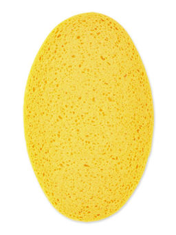 Губка ABSORB+ ECO 2шт 11х19см