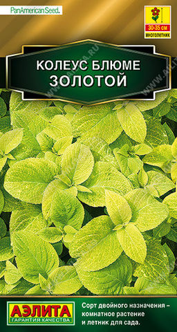 1505A Колеус блюме Золотой 5шт