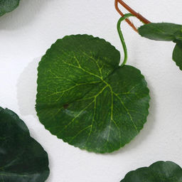Цена за 5 шт. Лиана искусственная «Лист волнистый», 250 см