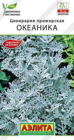 1876A Цинерария Океаника 0,05гр