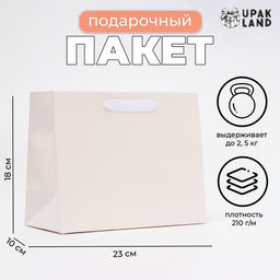 Цена за 2 шт. Пакет подарочный ламинированный «Белый», MS 23×18×10 см