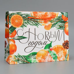 Пакет ламинированный горизонтальный Цитрусовый коктель, MS 23 18 8 см