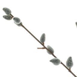 Цветок искусственный "Верба", L10 W8 H83 см