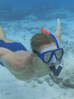 Набор для ныряния Bestway 24053, маска, трубка, МИКС