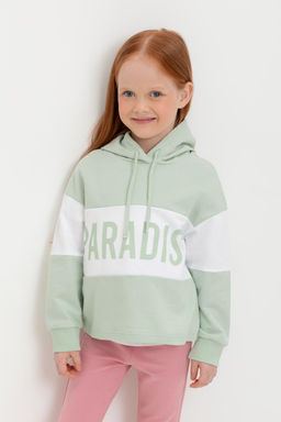 К 301691/дымчатый нефрит джемпер для дев