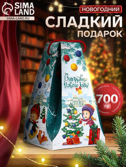 Сладкий новогодний подарок На прогулку, конфеты + игрушка, 700 г