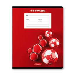 Светоч 24ТЕТк-003 Тетрадь ученическая школьная, выборочный лак, A5 24 л. на скобе 65 г/кв.м , белизна 100 % 30 шт. клетка 000717 Победный гол  фото 8