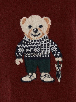 Bisiklet Yaka Ay? Teddy Desenli Erkek ?ocuk Triko Kazak