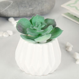 Суккулент искусственный 5,5х6,5 см / GN112 /уп 100/ - Галеонтрейд фото 3