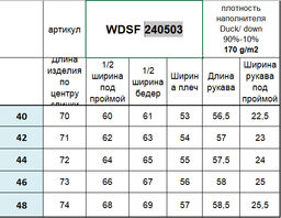 Conso/WDSF 240503 - синий Пуховая куртка  фото 5