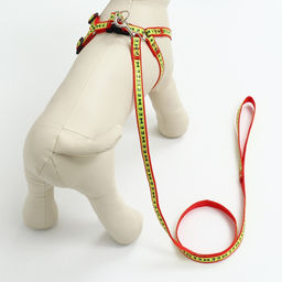 Комплект Косточки и лапки светоотражающий, поводок 120 х 1,5 см, ОГ 36-52 см, красный - Пижон фото 10