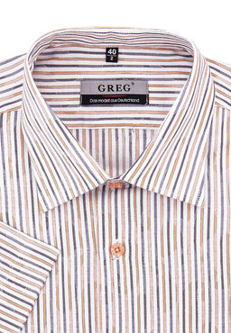 Сорочка мужская короткий рукав GREG Gb513/309/5/ZV