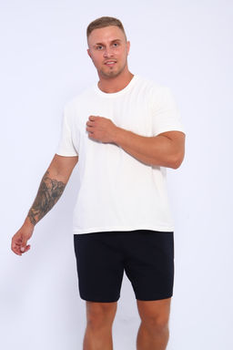 Шорты мужские 35336