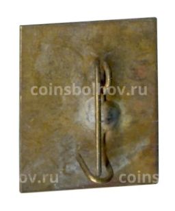 Значок Невицкое