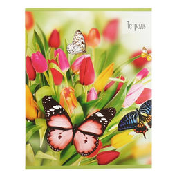 Набор тетрадей 36 листов в клетку, Calligrata «Бабочки», серые листы, 5 штук