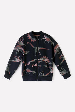 КР 301856/черный,динозавры жакет (бомбер) для мал