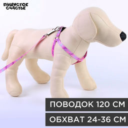 Комплект Маленькая леди, шлейка 24-36 см, поводок 120х1 см