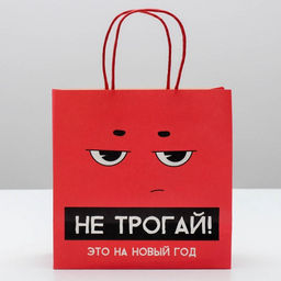 Пакет подарочный новогодний «Это на новый год», 22 х 22 х 11 см