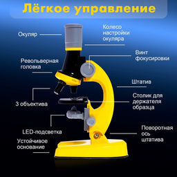 Микроскоп детский «Юный ботаник» кратность х100, х400, х1200, желтый, подсветка