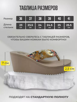 Сланцы на танкетке