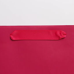 Пакет подарочный ламинированный, упаковка, «Фуксия», ML 23 х 27 х 11.5 см