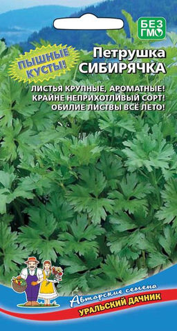 Петрушка листовая СИБИРЯЧКА  Пушистые кусты! Листья крупные, ароматные! Крайне неприхотливый сорт! Обилие листвы всё лето!