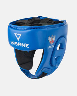 Шлем открытый INSANE RBF IN25-HG600, синий