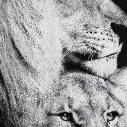 Полотенце махровое Этель «Львы» 70×130 см, 100% хлопок, 420 г/м², чёрно-белое