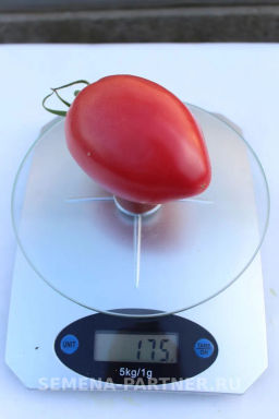 Томат Фукс - Партнер фото 5