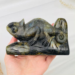 Фигурка резная Игуана из Лабрадора