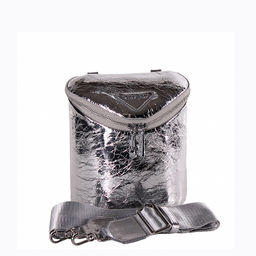 Сумка 6316F silver Polina&Eiterou