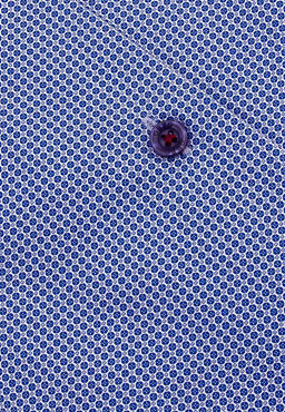 Сорочка мужская длинный рукав GREG 123/231/1920/Z/1_GB  фото 3