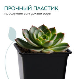 Цена за 24 шт. Горшок для рассады, 500 мл, 9×9×9.5 см, пластик, чёрный