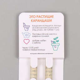 Набор для выращивания, карандаши подарочные «Акация серебристая + гвоздика», mini, простые чернографитные, 2 шт.