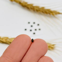 Бусины для украшений из Обсидиана (10 шт)