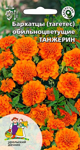 Бархатцы ТАНЖЕРИН Обильноцветущие