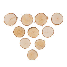 Blumentag СРЕЗ-22 срез дерева d. 3-5 см 0.5 10 шт. береза