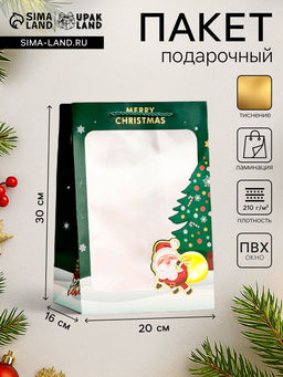 Цена за 10 шт. Пакет подарочный новогодний ламинированный, с окном Новогодний, 20?30?16 см