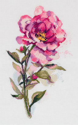 Набор для вышивания PANNA C-7364 Акварельный пион 19.5 х 29 см
