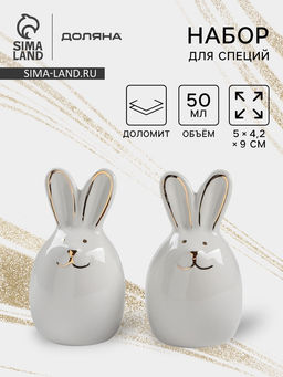 Набор для специй Доляна Зайка в золотом, солонка, перечница 50 мл, доломит, белый