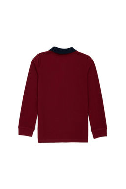 U. S. Polo Assn / Толстовка с воротником-поло Cherry Basic для мальчиков - U.s. polo assn фото 3