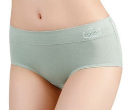 Трусики A12867210 - Tadmico фото 3