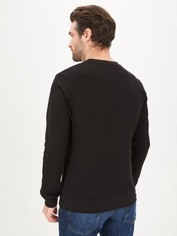 Свитшот мужской GREG G121-Aviator (чёрный)  фото 7