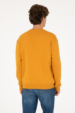 Мужской горчичный базовый свитшот Неожиданная скидка в корзине - U.s. polo assn фото 5