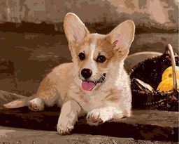 ФРЕЯ PNB/R1 №71 Набор для раскрашивания по номерам 40 х 50 см Вельш-Корги