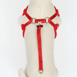 Комплект с мягкой шлейкой и бантиком Клетка, размер M, поводок 120 x 1,5 см, ОГ 28-46 см - Пижон фото 6