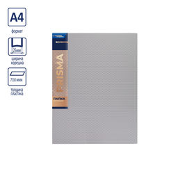 Expert Complete PRISMA Папка на 4 О-кольцах A4 700 мкм 25 мм эффект 3D 4 шт. d - 17 мм серебряный new EC211400129